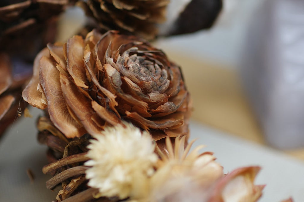 Crafting Timeless Boho Wedding Magic: Why Our Dried Flowers DIY Box is Your Secret Weapon