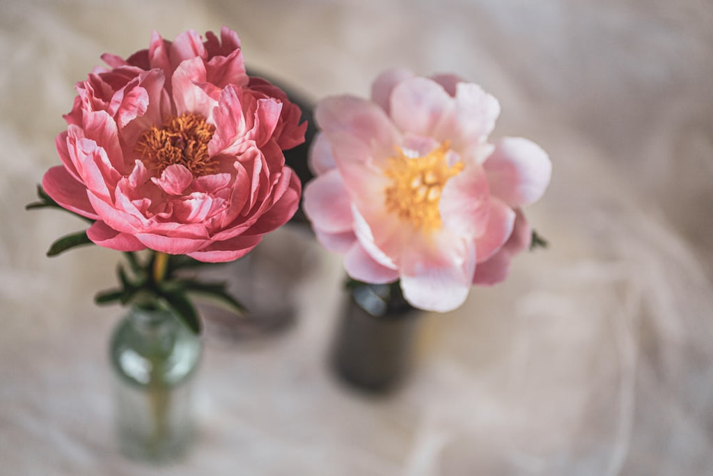 Unlock Everlasting Charm: Your Guide to Decorating & Crafting with the 12-Inch Artificial Peony Bouquet