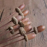 5X Natural Dried Flower Acorns Fruits Branch Ornament Home Festival Party Decor