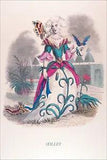 ANIMATED FLOWERS - The CARNATION - Colour engraving from Grandville)