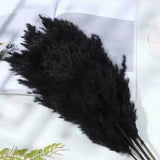 Wed ding Decor Pampas Grass Real Flower Reed Natural Stems Plant Dried L5R6 G5O0