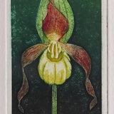 Lady's Slipper Orchid, a limited edition collagraph print