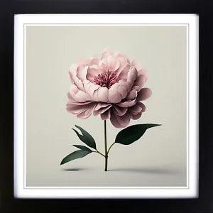 Peony Flower Minimalism Framed Wall Art Poster Print Home Decor Picture Large