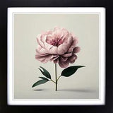 Peony Flower Minimalism Framed Wall Art Poster Print Home Decor Picture Large