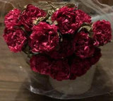 Real Air Dried 7 Stems w/ 20 Small Sweetheart Dark Red Roses Rustic Bouquet