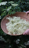 Online Foraging Course: Edible and Medicinal Wild Herbs Flower Delivery