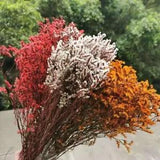 Natural Preserved Crystal Grass 2 Bouquets Dried Flower Wedding Home Decoration