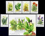 1993 Orchid Lady's slipper,Lily of Valley,Protected Flowers,Moldova,81,Bl.4, MNH
