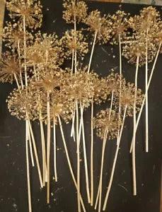 20 COUNT DRIED ALLIUM Bunch BOUQUET Bundle ALLIUMS Dried Flowers #2