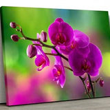 Purple Orchid Canvas Art Flowers Wall D???cor Orchid Canvas Wall Art Floral Canvas