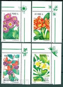 2000 Bush lily,Plumeria,Fuchsia,Senecio,Flowers,Plants,Romania,5478,TAB/T/RC,MNH