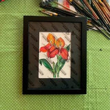 Orchid Pride : 7" X 5" beautiful acrylic painting of the Disa Barelli Orchid