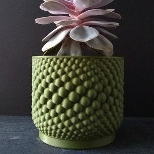 The Pearly Planter - Dark Green - With Drainage & Tray - 4 5 6 7 8 9 inch
