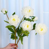 3 Heads Peony Stem | High Quality Artificial Flower | DIY Floral | Wedding/Home Decoration | Gifts - White