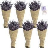 Dried Lavender Bundles,6Pack Natural Dried Flowers Bouquet with Stems