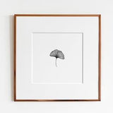 Ginkgo Leaf (Ginkgo biloba) Botanical Art Print | Maidenhair Leaf