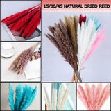 15/30/45X Natural Dried Pampas Grass Reed Flower Bunch Wedding Bouquet Decor DIY
