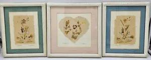 3 Piece Signed / Framed Pressed Flower Art "Wildflowers" - Mothers Day Gift Idea