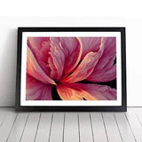Riveting Carnation Flower Framed Wall Art Poster Print Home Decor Picture Large