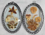 Vintage- Lasting Impressions- Pressed Flowers In Glass With Twisted Metal Frame