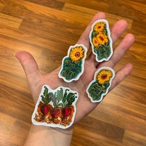 Garden Beets, Sunflowers  - Pack of 4- Paper Stickers Glossy Laminated - 2.5inches-