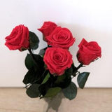 Forever Rose Red Preserved Roses Eternal Rose Dried Flower Bouquet Long Stem Rose Preserved Flower Stabilized Plant Red Rose Bouquet