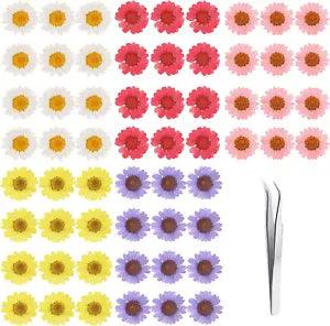 60Pcs Dried Daisy Pressed Flowers -  Real Nature Flowers Set for Resin DIY Jewel