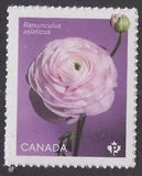 Canada 3376 Ranunculus White 'P' single (1 stamp from booklet) MNH 2023