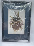 NEW LISTINGSeaweed Creations Pressed Seaweed In Frame Atlantic And Pacific Shores 8x6 Art