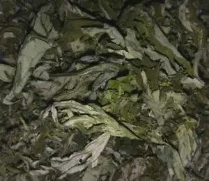 Organic Mugwort Dried Leaves - Artemisia argyi - Wicca Apothecary Smoke Herb