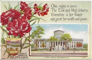 "Scarlet Carnation" Ohio State Flower and Capitol at Columbus Postcard
