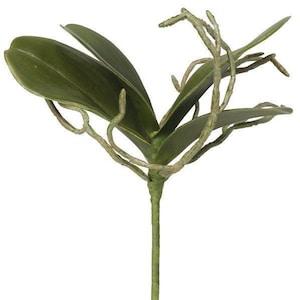 Artificial Orchid Leaves/Stem with Realistic Bare Roots-Faux Orchid Greenery-Flower Stems-Tropical Flower-Floral Supplies-Floral Arranging