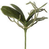 Artificial Orchid Leaves/Stem with Realistic Bare Roots-Faux Orchid Greenery-Flower Stems-Tropical Flower-Floral Supplies-Floral Arranging