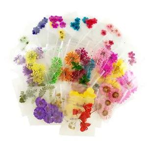 20packs Real Flower Dried Flower Assorted Pressed Real Flower 120pcs Nail Art