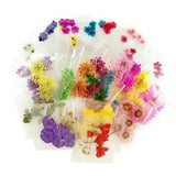 20packs Real Flower Dried Flower Assorted Pressed Real Flower 120pcs Nail Art
