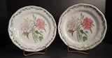 Noritake Casual Gourmet Set of 2 Salad Plate, Carnation 8" Diameter