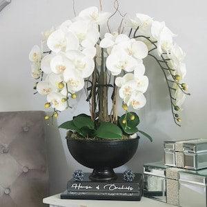 Alliarta large or extra large  luxury real touch Orchid  display ,valentines gift , mothers day gift