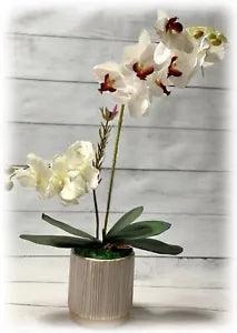 Large artificial White Orchid Flowers Arrangement in Ceramic decorated Vase