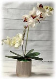Large artificial White Orchid Flowers Arrangement in Ceramic decorated Vase