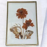 Vintage Dried & Pressed Flowers In Frosted Glass Frame 6" X 4"