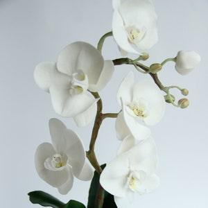 Real touch white orchid,Orchid flowers,Artificial Orchid,Cold porcelain Orchid,Table Centerpiece,Orchid plant,orchid,Handmade orchid,Gifts