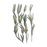 12x Dried Pressed Lilies Dried Flowers for Photo Frame Painting Handmade DIY