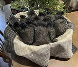 dried lavender buds