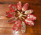 10 Magnolia Seed Pods - decoration, craft, wreaths, isopods, weddings, potpourri