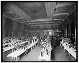 American Carnation Society exhibition,flower shoes,Detroit,Michigan,MI,1900