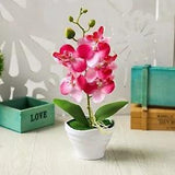 Artificial and Dried Flower Simulation Phalaenopsis Bonsai Potted Wedding Event