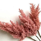 Australian Native Flowers Dusty Pink Pampas Grass Stems Artificial Dried Look x1