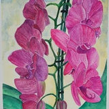 Original Orchid Flower Painting 9"x12"