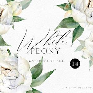 Watercolor white flowers clipart, Peony flower wedding clipart. Hand drawn boho flowers for summer wedding DIY