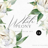 Watercolor white flowers clipart, Peony flower wedding clipart. Hand drawn boho flowers for summer wedding DIY